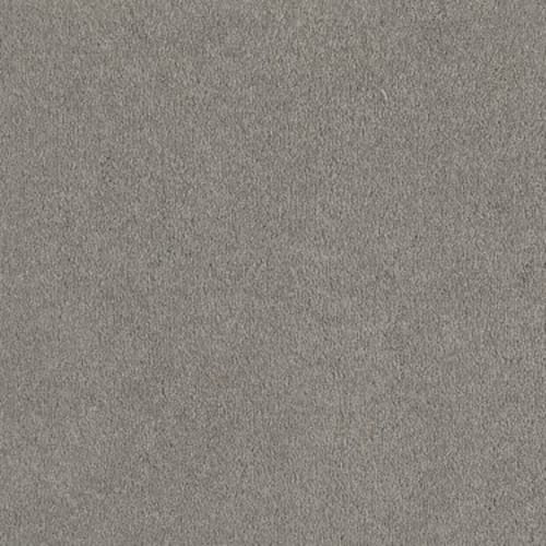 Sandy Hollow I 12' by Shaw Floors Retail - Silver Charm