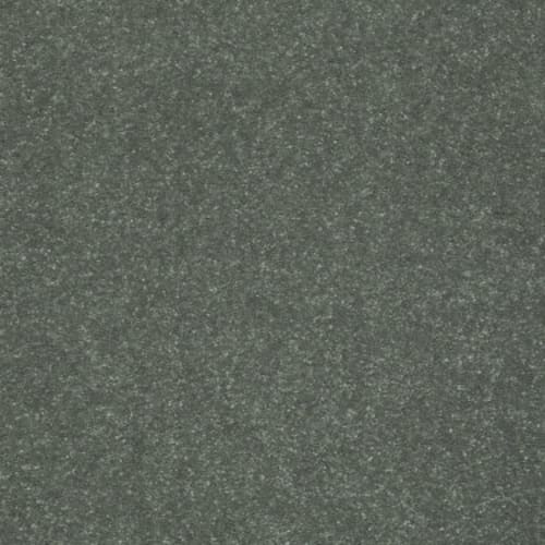 Spruce