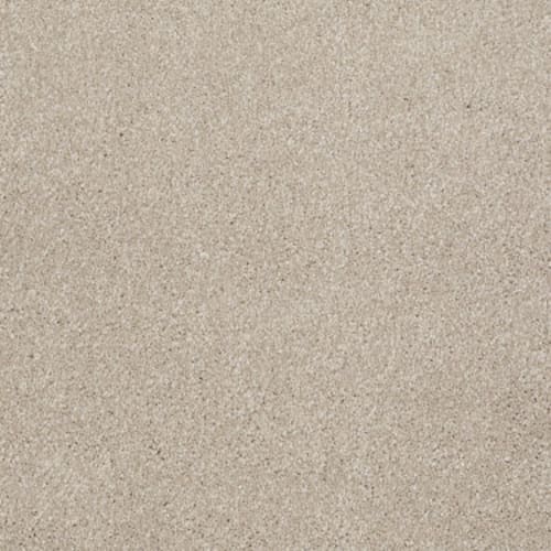 French Canvas
