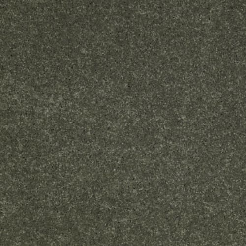 Bay Leaf