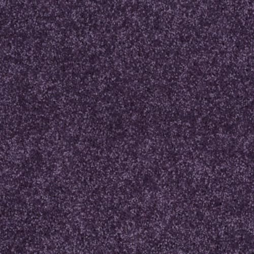 Fastrak II by Shaw Floors Retail - Grape Slushy