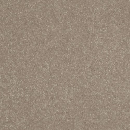 Tantalizing Taupe