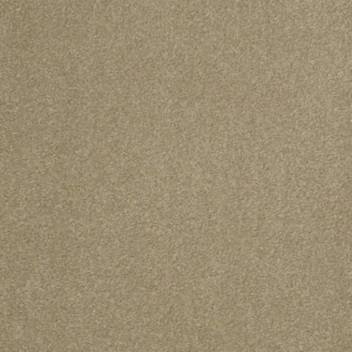 Cardboard