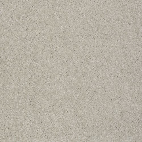 Soft Chamois