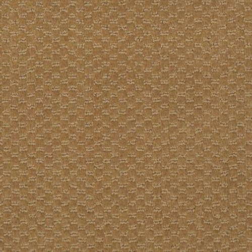 Elements by Shaw Industries - Grand Teton Tan