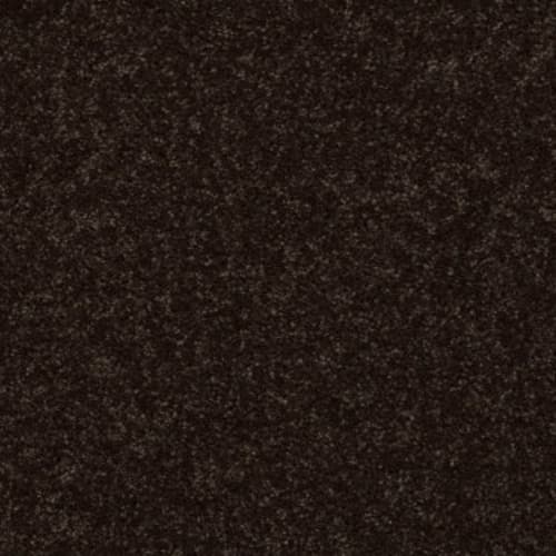 All Star Weekend I 15' by Shaw Floors Value - Coffee Bean