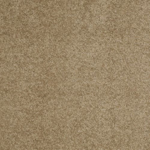 Toast Tan