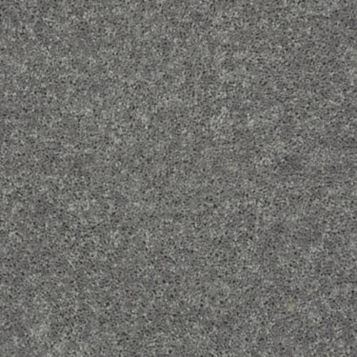 All Star Weekend I 15' by Shaw Floors Value - Ink Spot