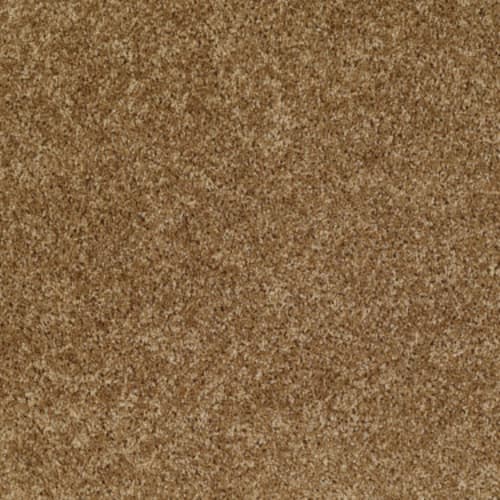 Dreamin' 12' by Shaw Floors Value - New Cork