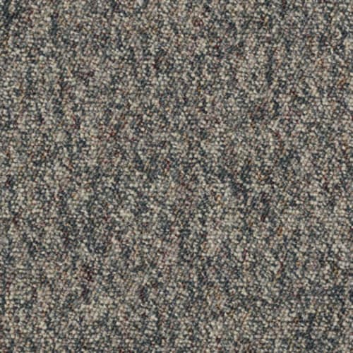 Spruce