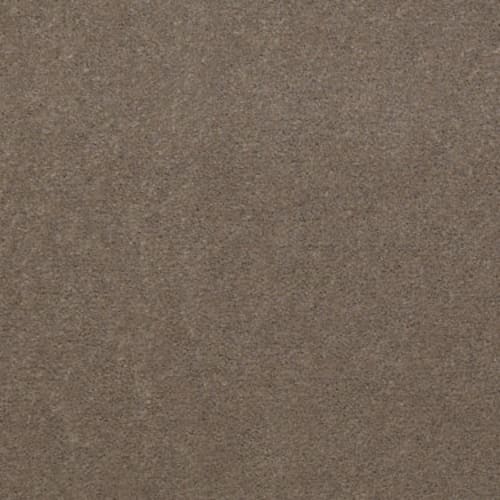 Bashful Taupe