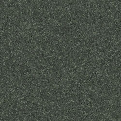 All Star Weekend I 15' by Shaw Floors Value - Going Green