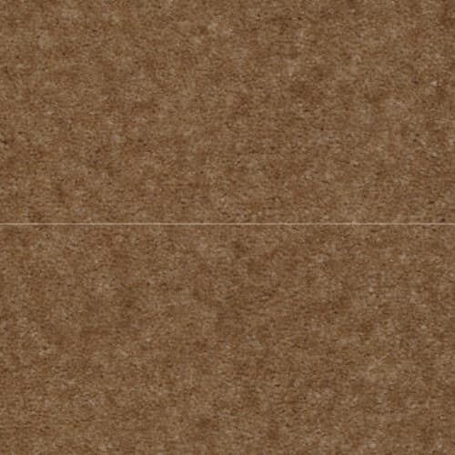 Copper Penny