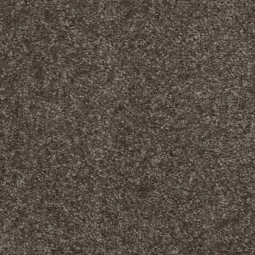 Jet Set by Shaw Floors Value - Kodiak Brown