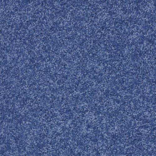 Cobalt Vibe