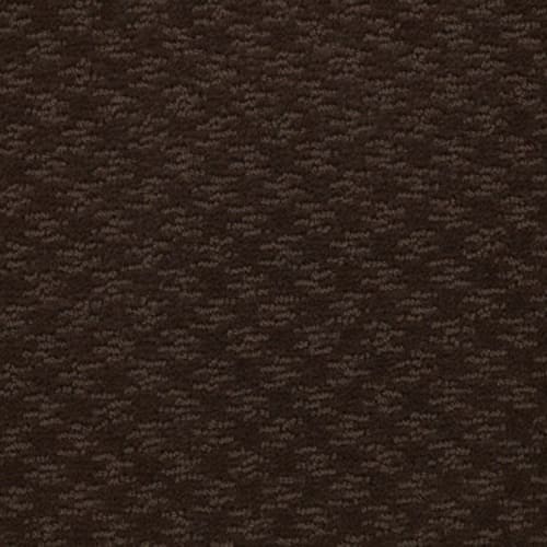 More Is More by Shaw Industries - Mocha Chip