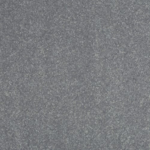 Silver Dollar