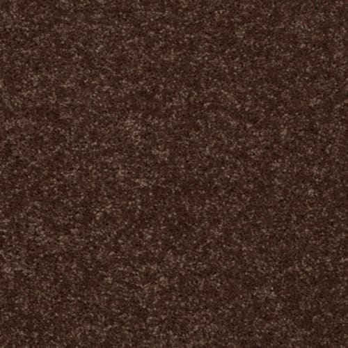 All Star Weekend I 15' by Shaw Floors Value - Flower Pot