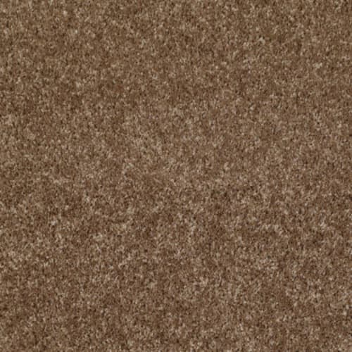 Dreamin' 12' by Shaw Floors Value - Ridgecrest