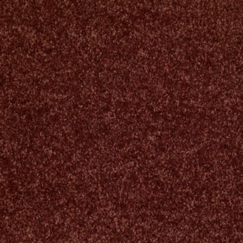 Dreamin' 12' by Shaw Floors Value - Sienna