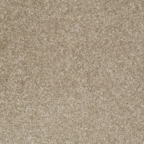 Jet Set by Shaw Floors Value - Portabello