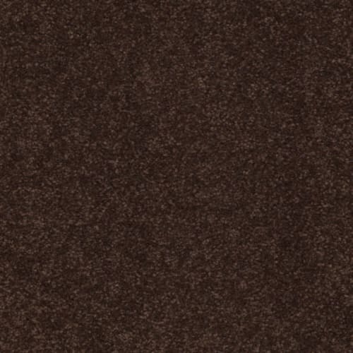 Sandy Hollow II 12' by Shaw Industries - Coffee Bean