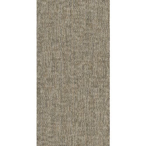 CRAZY SMART Astute 00200