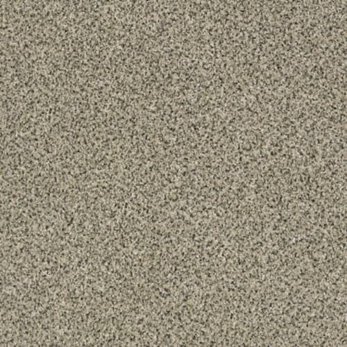 Sesame Seed