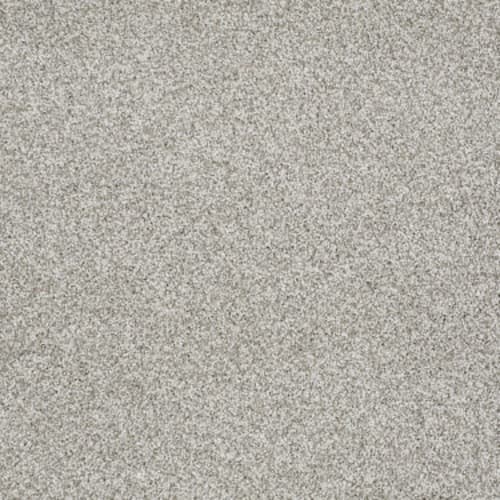 Textured Canvas