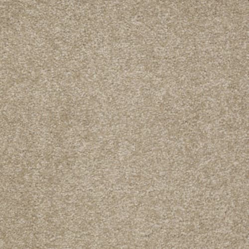 Sahara
