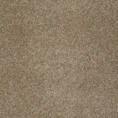 Bridgewater Tan