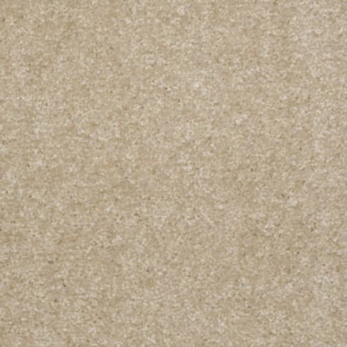 Jet Set by Shaw Floors Value - Saw Dust