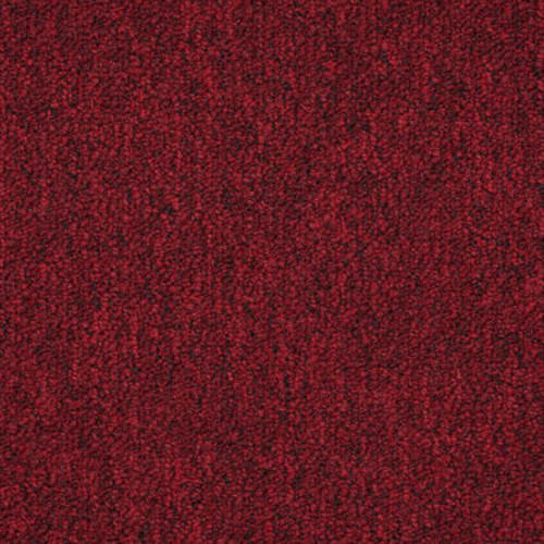 Cardinal