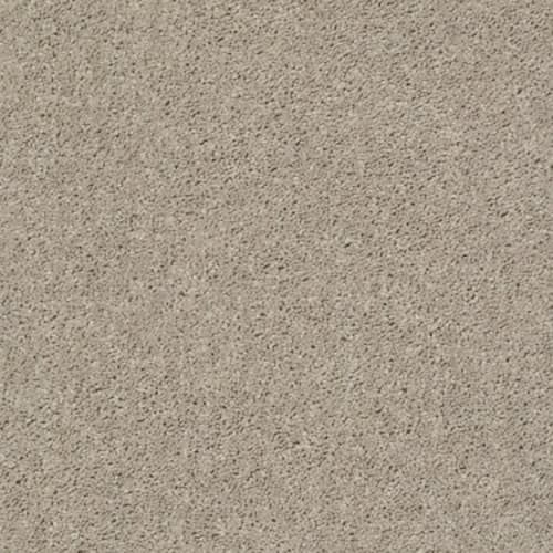 Fastrak II by Shaw Floors Retail - Bare Mineral