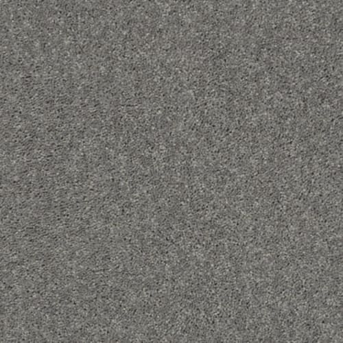 Shaw Industries Full Court 12' Ink Spot Carpet Campbell Dublin