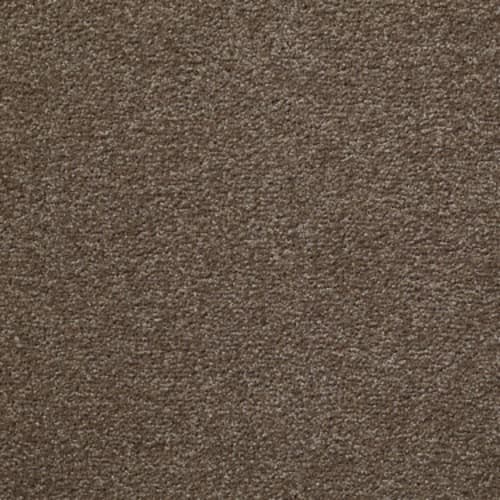 Brielle by Shaw Industries - Brushed Suede