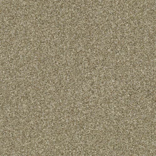 Cabana Life (T) by Shaw Floors Retail - Dried Clay