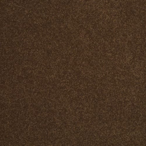 Cocoa