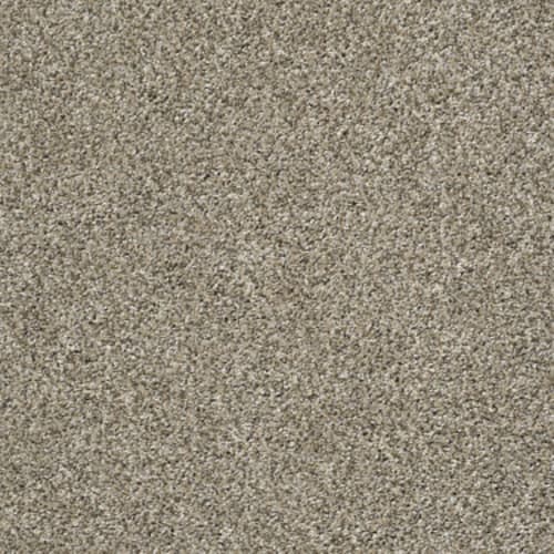 Elaborate by Carpet City - Pebble