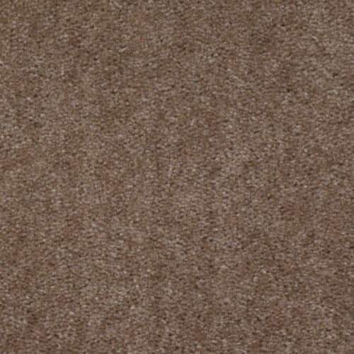 Buckskin