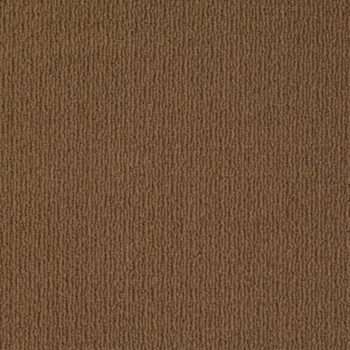 Casual Mood by Shaw Industries - Modern Brown