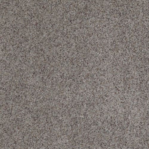 Stony Ground