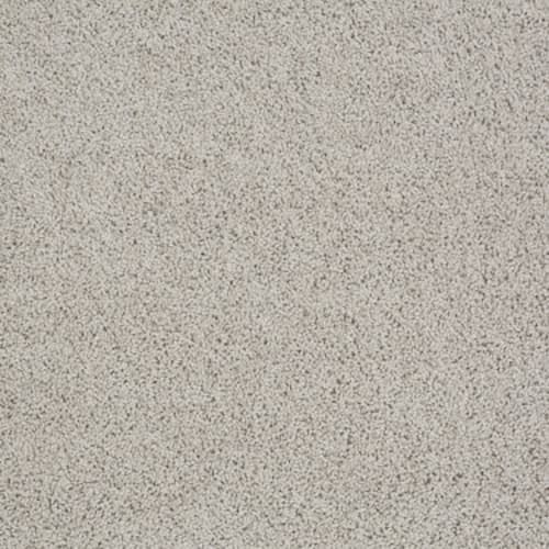 Cement