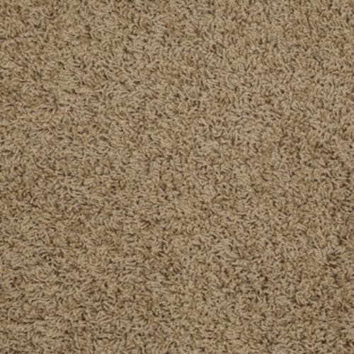 Sahara