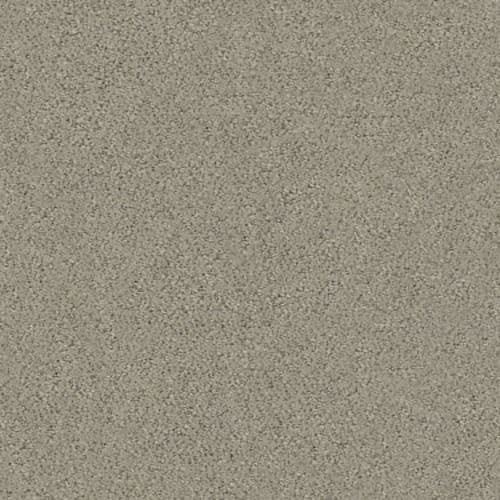 Aerial View by Shaw Industries - Artisan Taupe