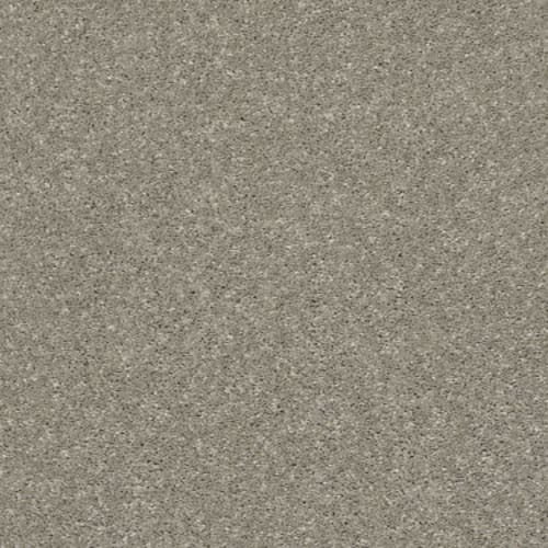 After All I by Shaw Floors Retail - Rustic Taupe