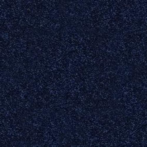 Dyersburg II 12' by Shaw Floors Value - Darkest Denim