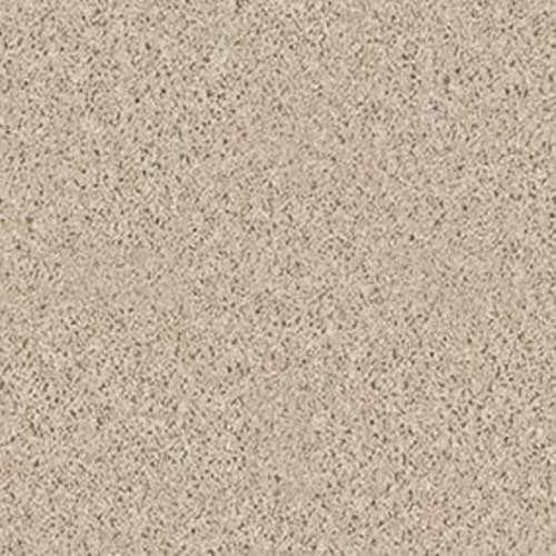 Fusion Value 300 by Shaw Floors Value - Modest