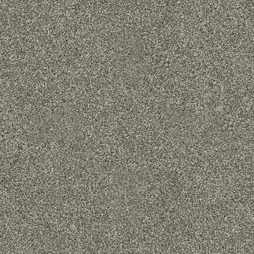 Inspiring by Shaw Floors Value - Pewter