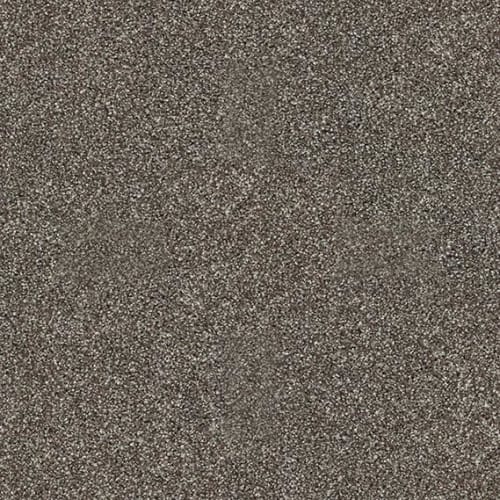 Inspiring by Shaw Floors Value - Graphite